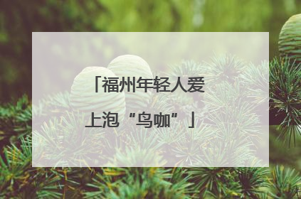 福州年轻人爱上泡“鸟咖”